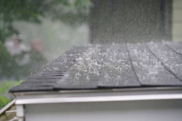 Best Cold Roofs  in La Plata, MD