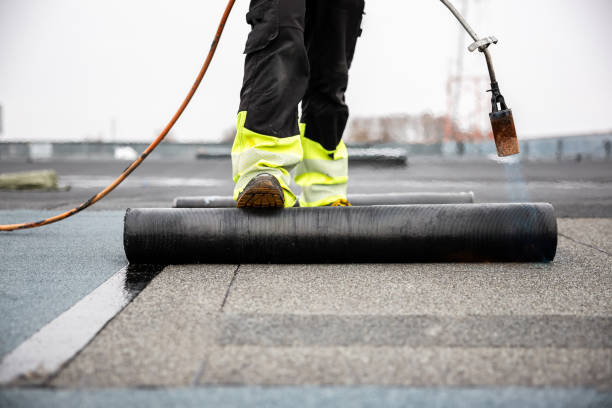 Best Rubber Roofing (EPDM, TPO)  in La Plata, MD