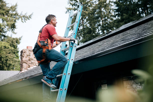 Best Roof Coating and Sealing  in La Plata, MD