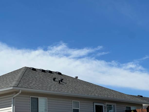Best Chimney Flashing Repair  in La Plata, MD